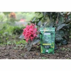BERGER-WORLD Little Jungle 40g Réservoir D'Eau Solide Pour Plantes D'intérieur - LAUREAT PRIX JDC 2022 11 BERGER-WORLD Little Jungle 40g Réservoir D'Eau Solide Pour Plantes D'intérieur - LAUREAT PRIX JDC 2022 -Promos Recuperation Magasin 54890987 5